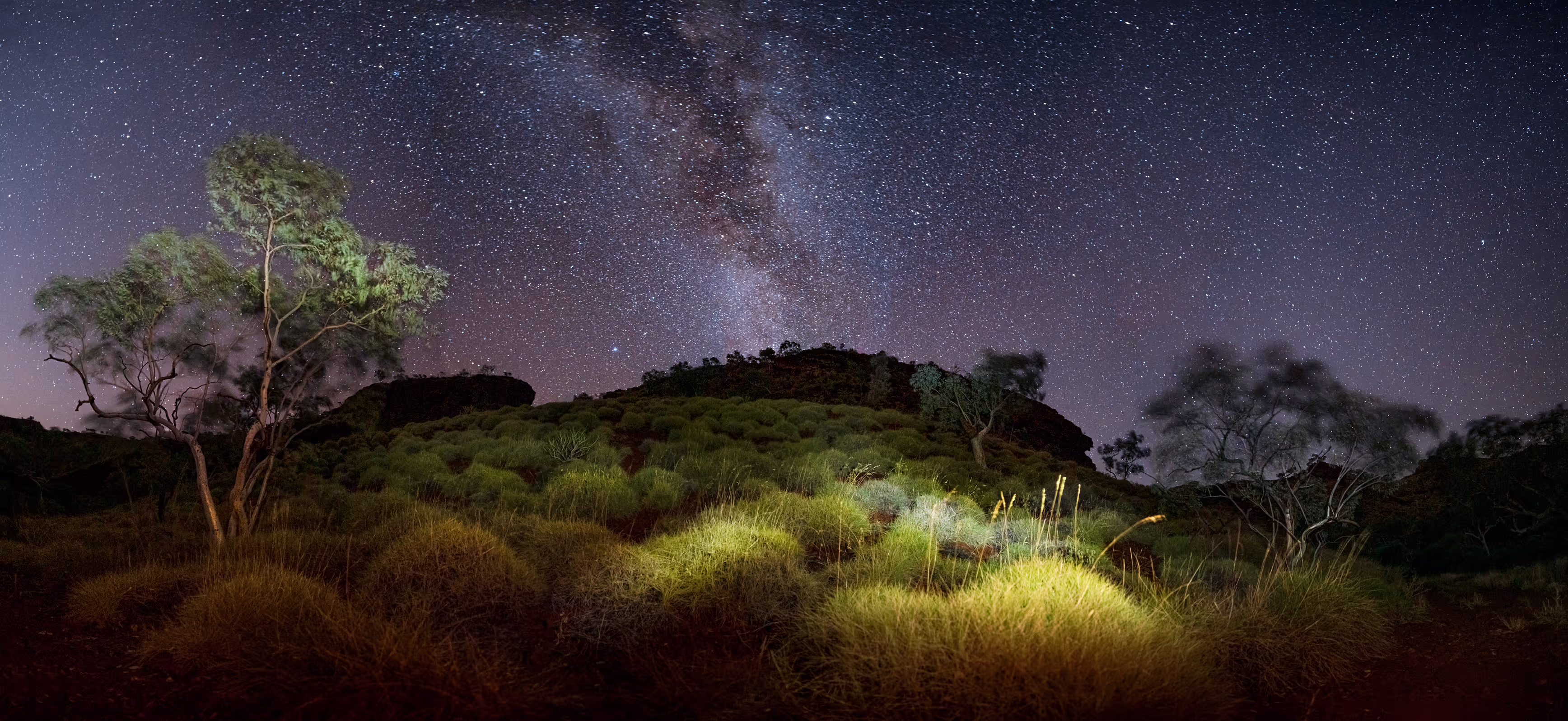 Spinifex panorama