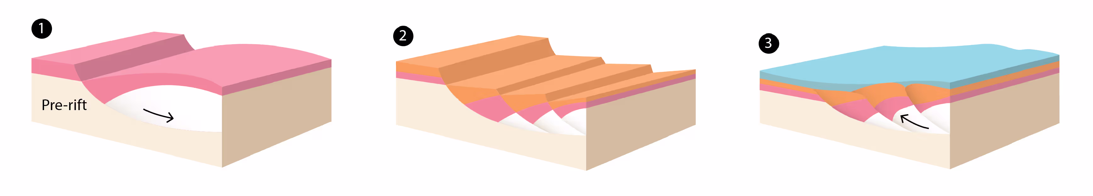 Geological images from a field study